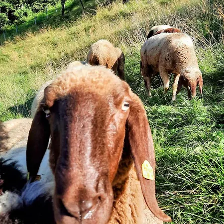 아파트 Aubauerngut