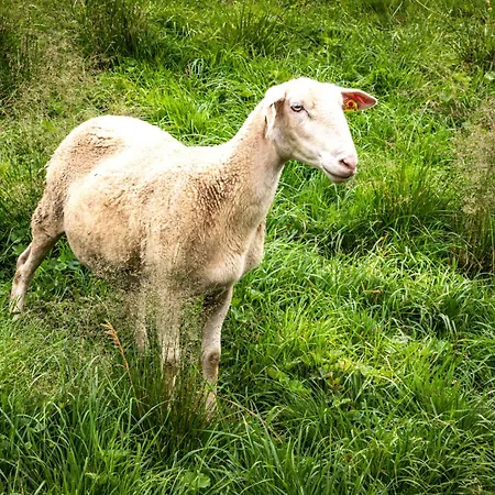 Aubauerngut Apartamento