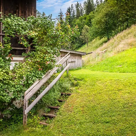 Aubauerngut Muhlbach Am Hochkonig
