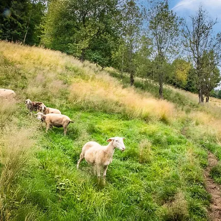 Apartamento Aubauerngut Mühlbach am Hochkönig