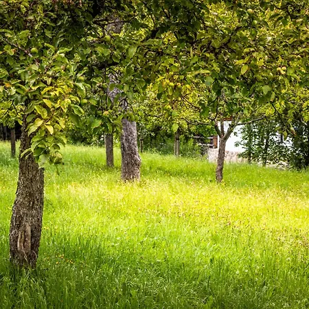 Aubauerngut * Mühlbach am Hochkönig