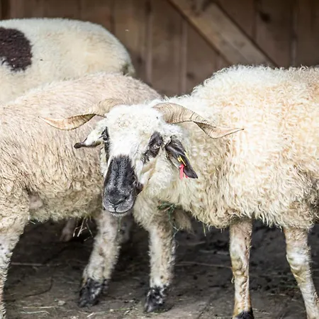 Apartamento Aubauerngut