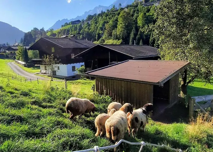 Aubauerngut Daire Mühlbach am Hochkönig