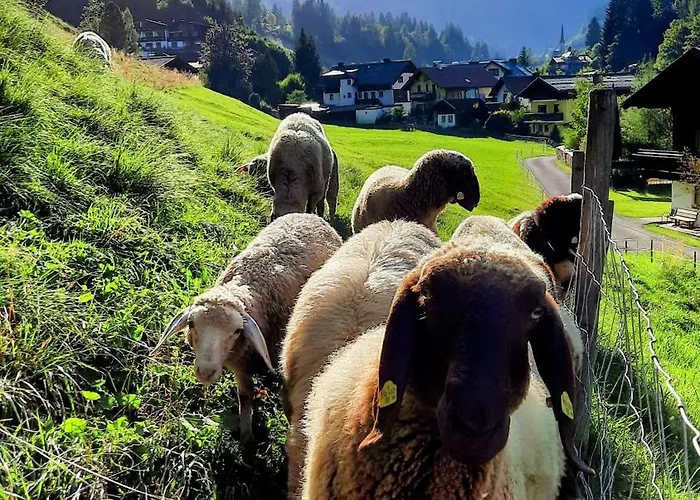 Aubauerngut Lägenhet *