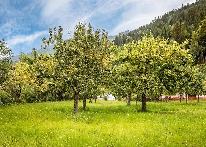 Aubauerngut Daire Mühlbach am Hochkönig