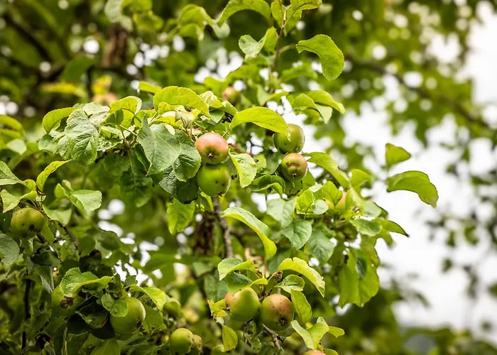 Lägenhet Aubauerngut *