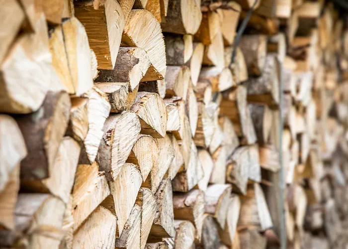 Aubauerngut Lägenhet Mühlbach am Hochkönig