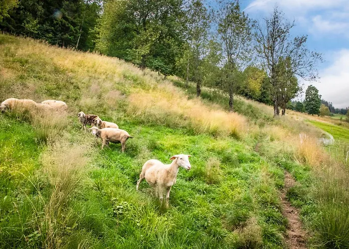 Daire Aubauerngut Mühlbach am Hochkönig