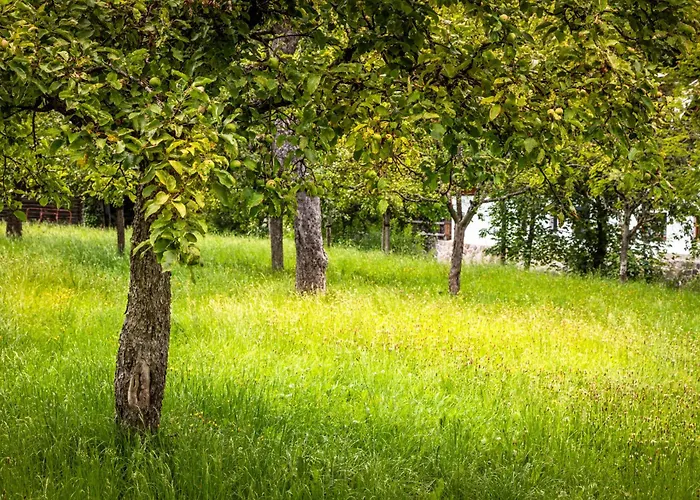Aubauerngut * Mühlbach am Hochkönig