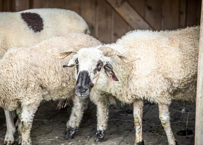 Lägenhet Aubauerngut